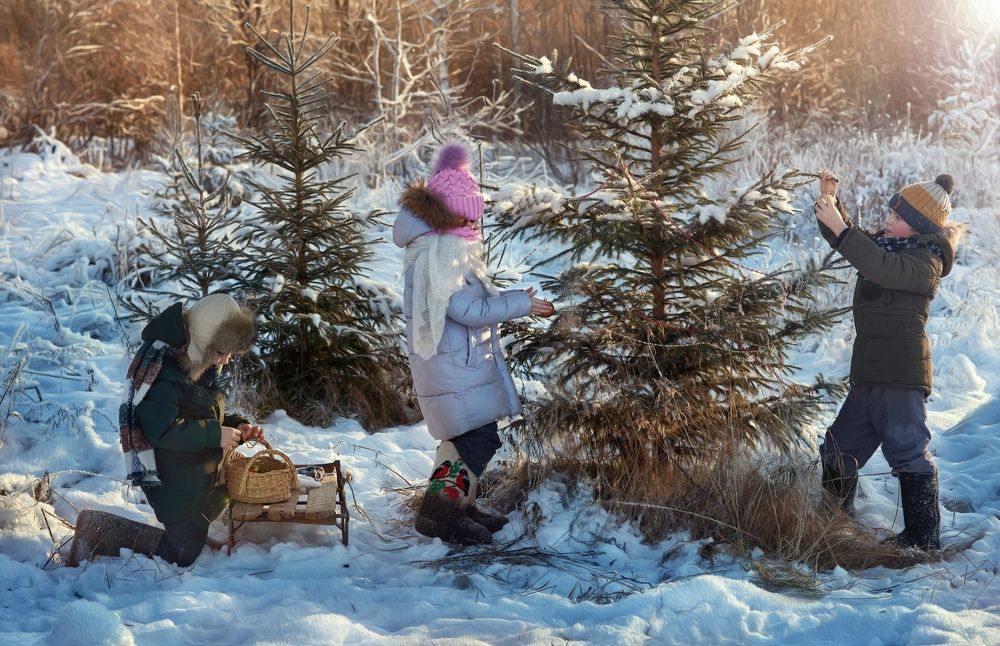 Photograph by Лариса Абрамова