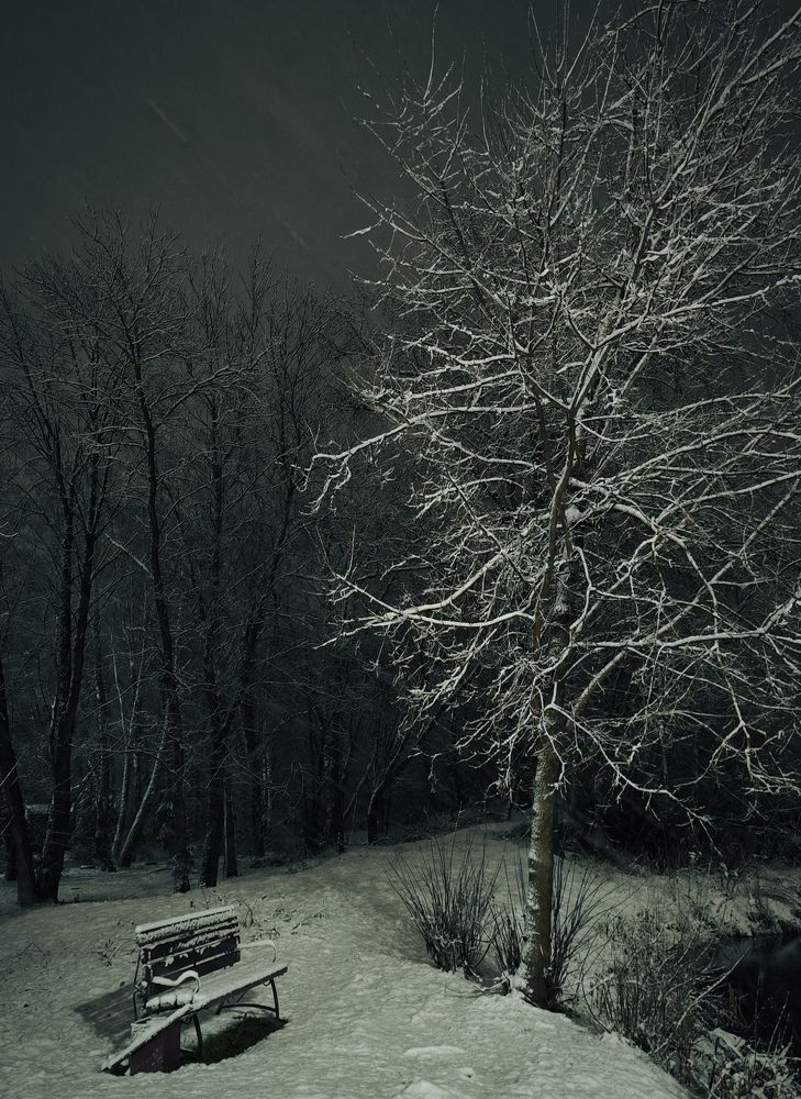 Photograph by Лариса Абрамова