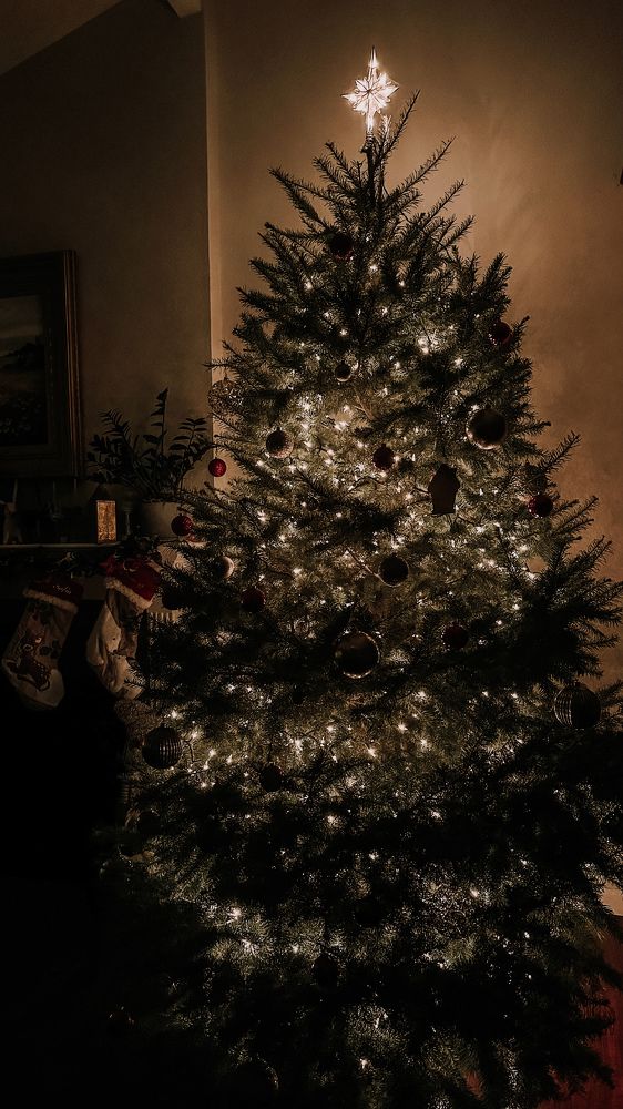 Photograph by Anna Vlasova