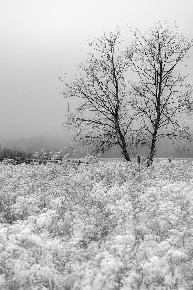 Photograph by Елена Амозова