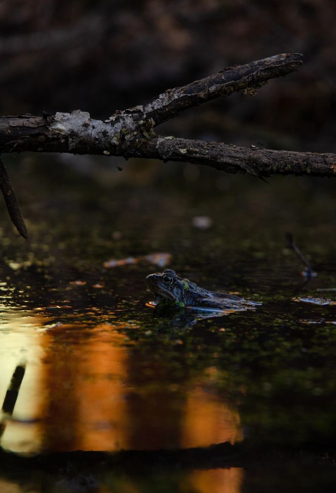 Photograph by Ляйсан Мубаракова