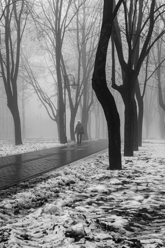 Photograph by Ксения Шилина