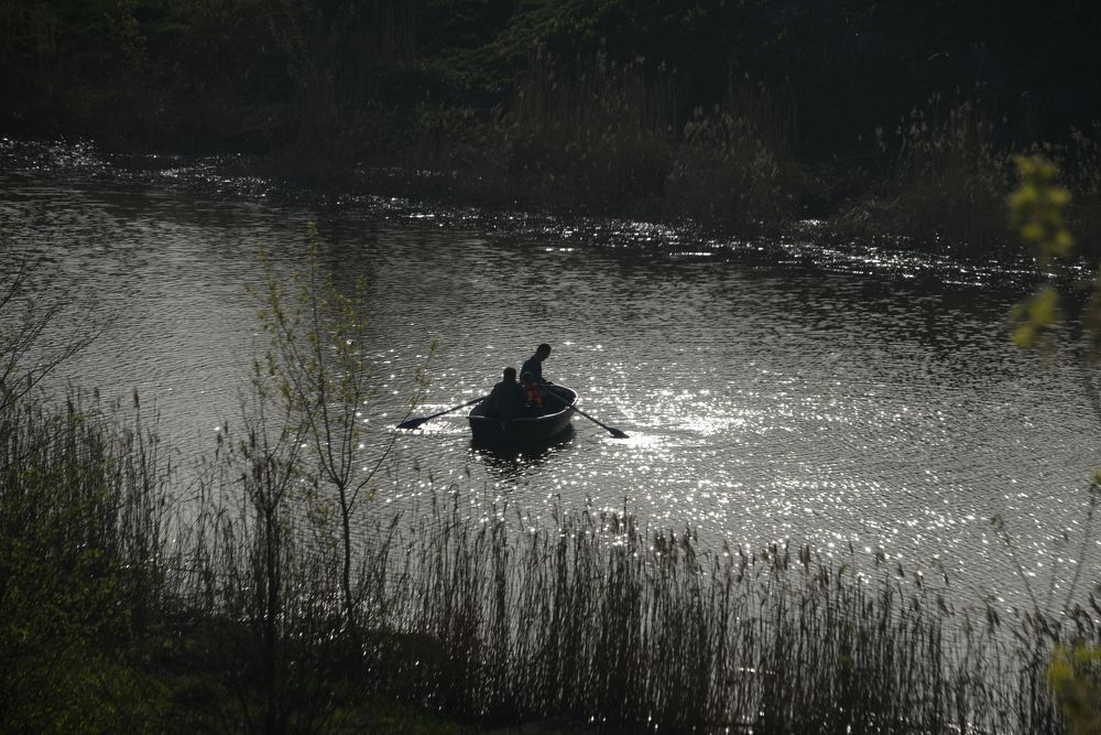 Фотография автора Глеб Рубашкин