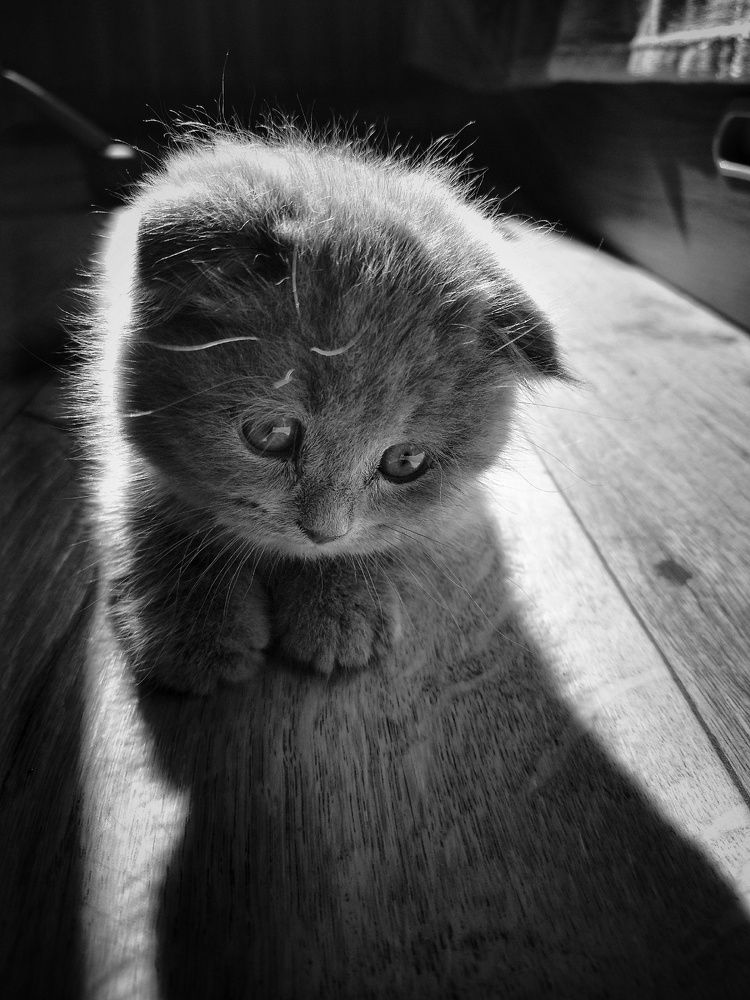 Photograph by Елена Силантьева