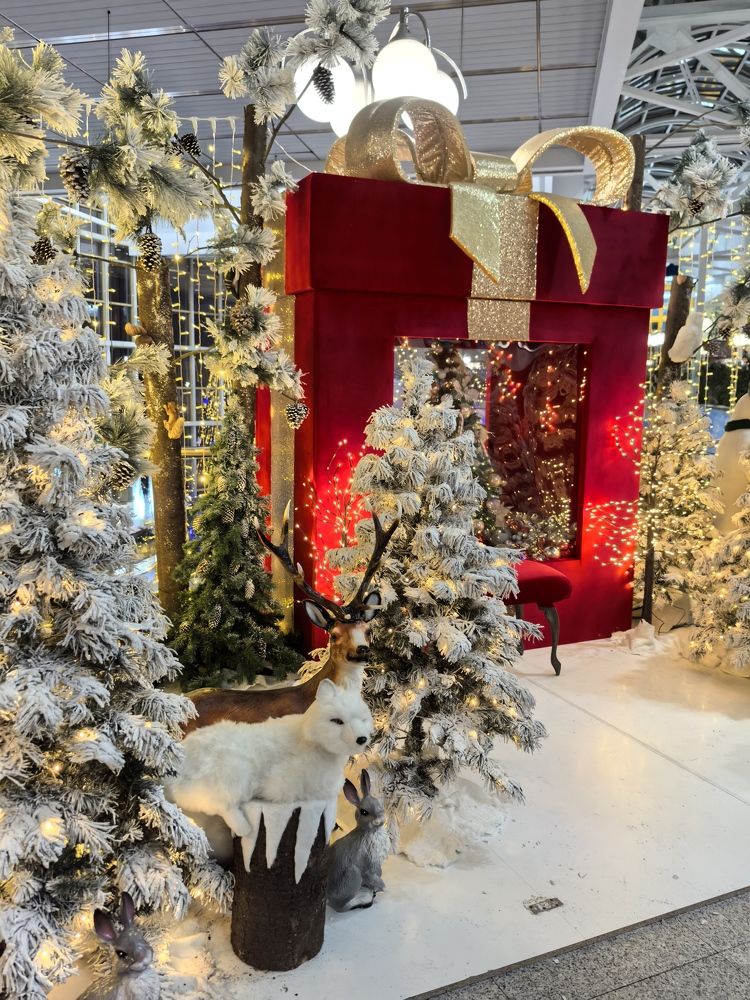 Фотография автора Марина Новикова