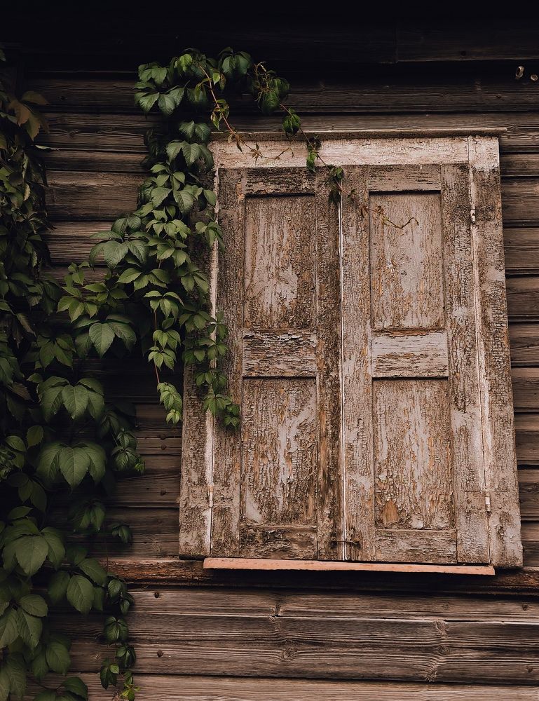 Photograph by Лариса Абрамова