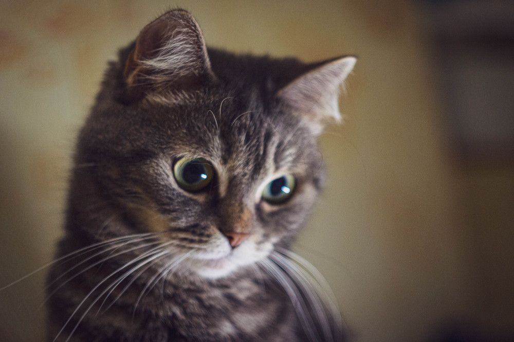 Photograph by Александр Куимов