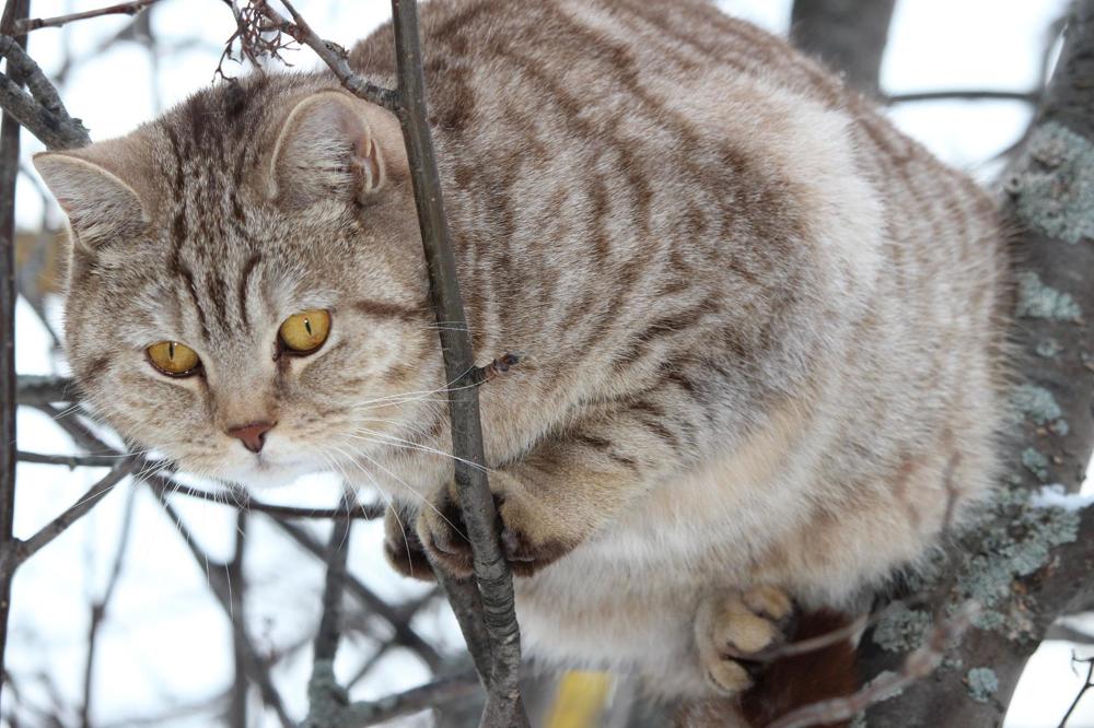 Photograph by Галина Мазур