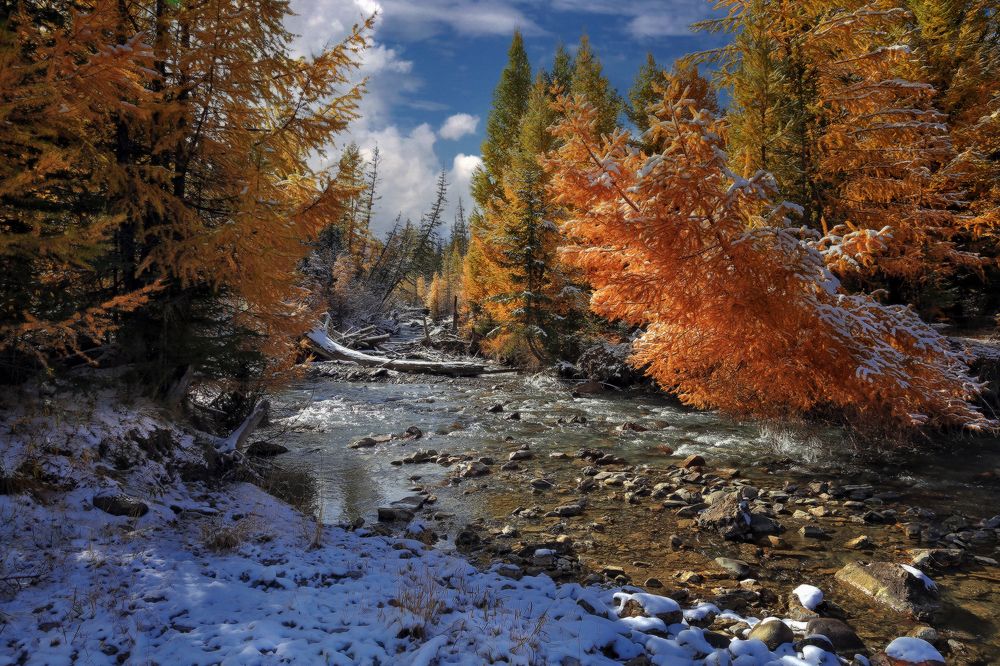 Photograph by Галина Хвостенко