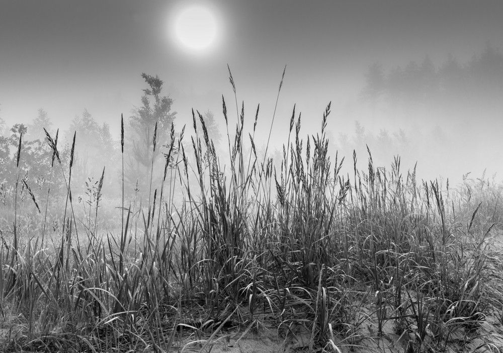 Photograph by София Стрыгина