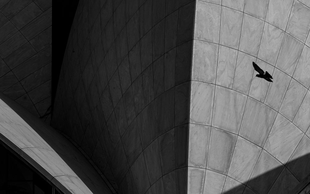 Photograph by Shobhit chawla