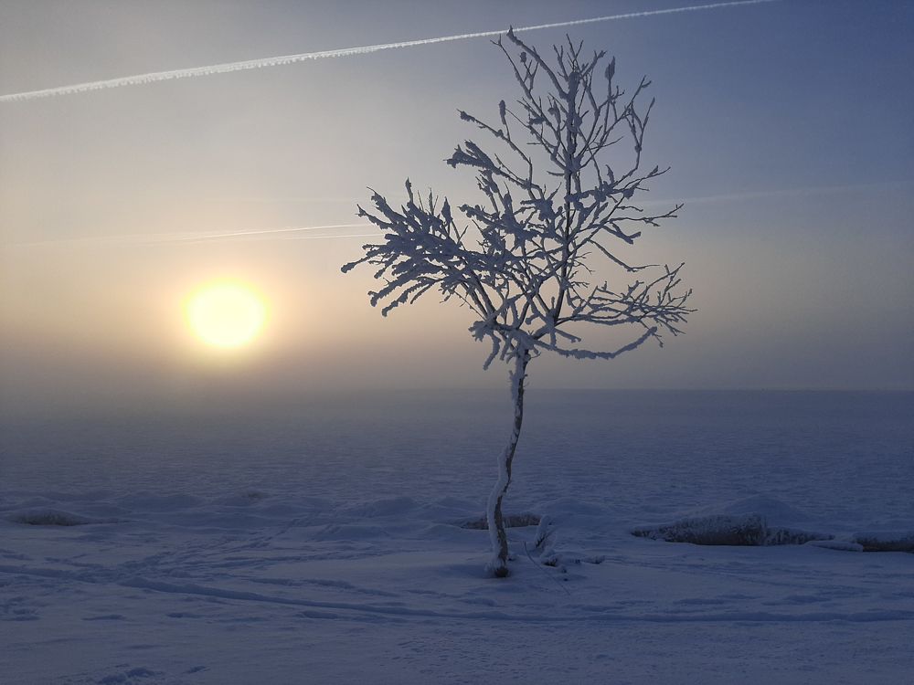 Рассвет в декабре