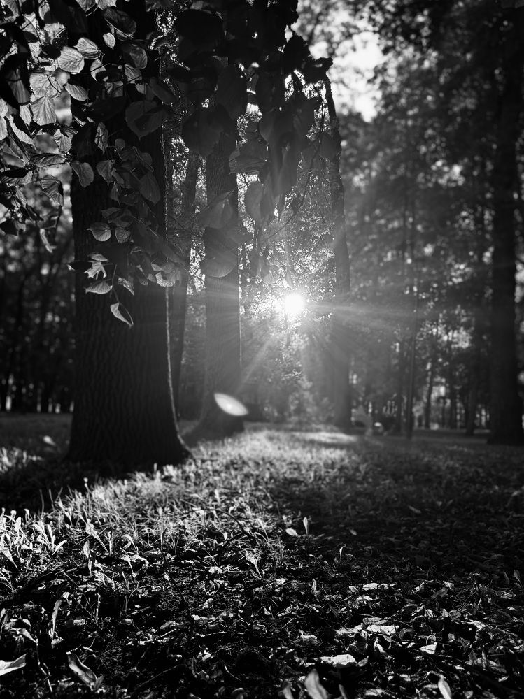 Photograph by Елена