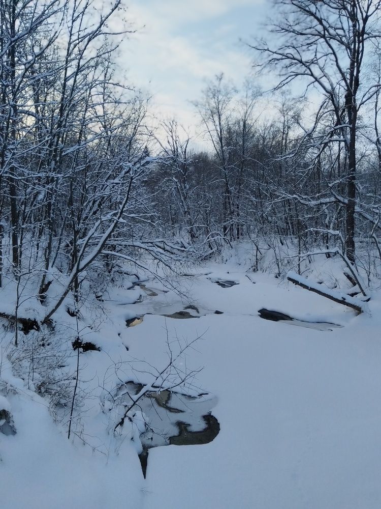Photo #11566930
