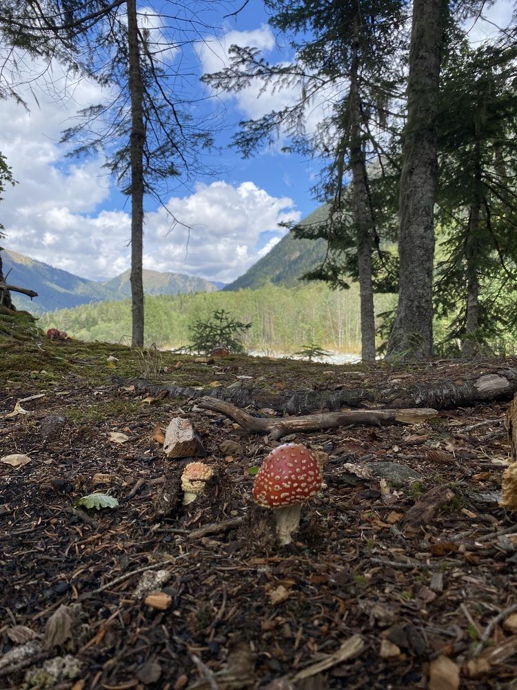 Photograph by Алиса Лукина