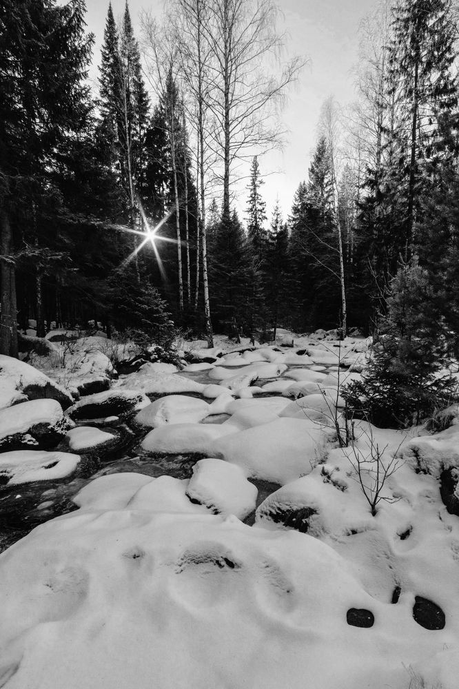 Photograph by Анастасия Глазюк