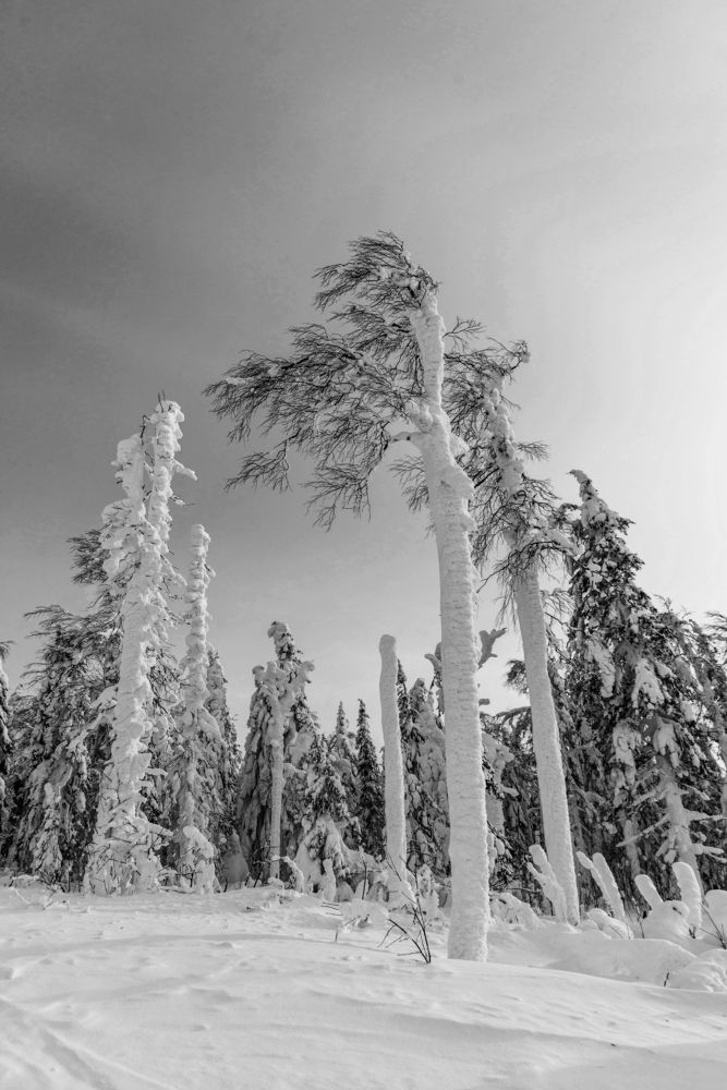 Photograph by Анастасия Глазюк