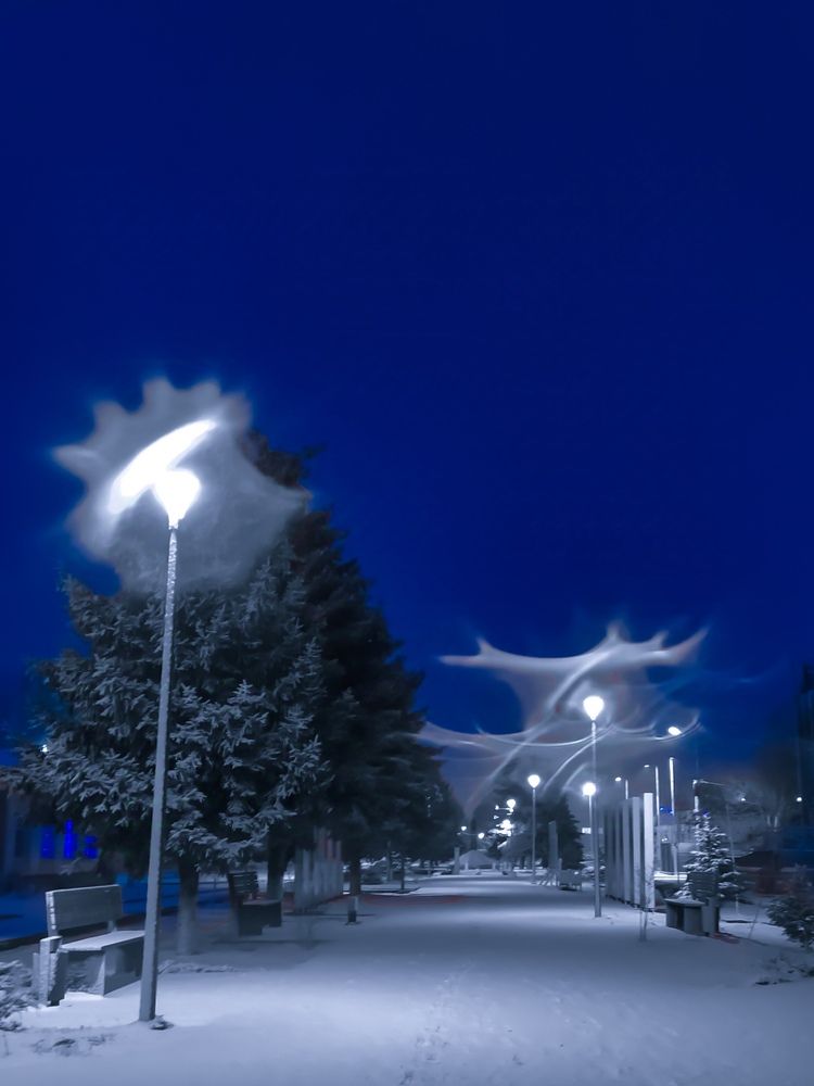 Фотография автора Наталья Алексеева