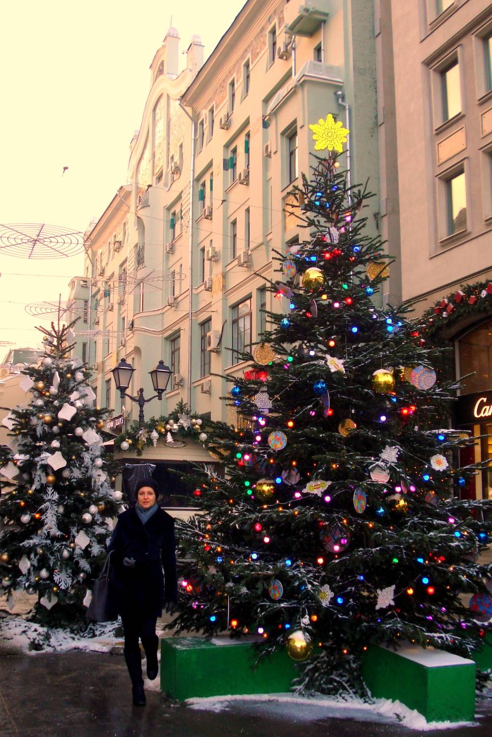 Photo #11567144