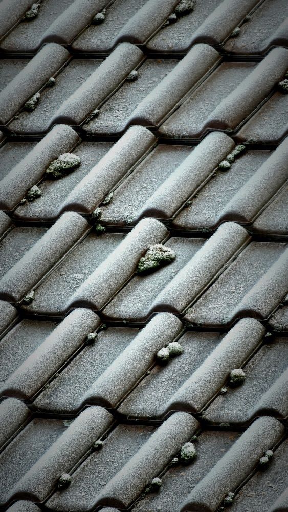 Photograph by Olga Siebert