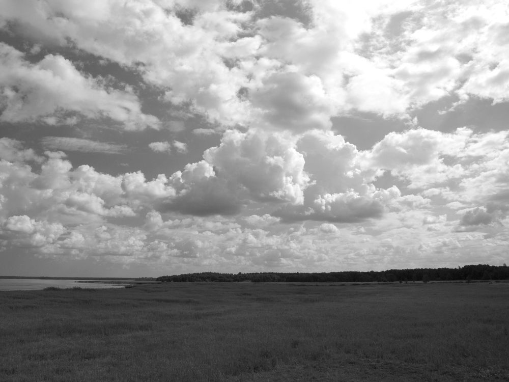 Фотография автора Jevgeni Filimonov