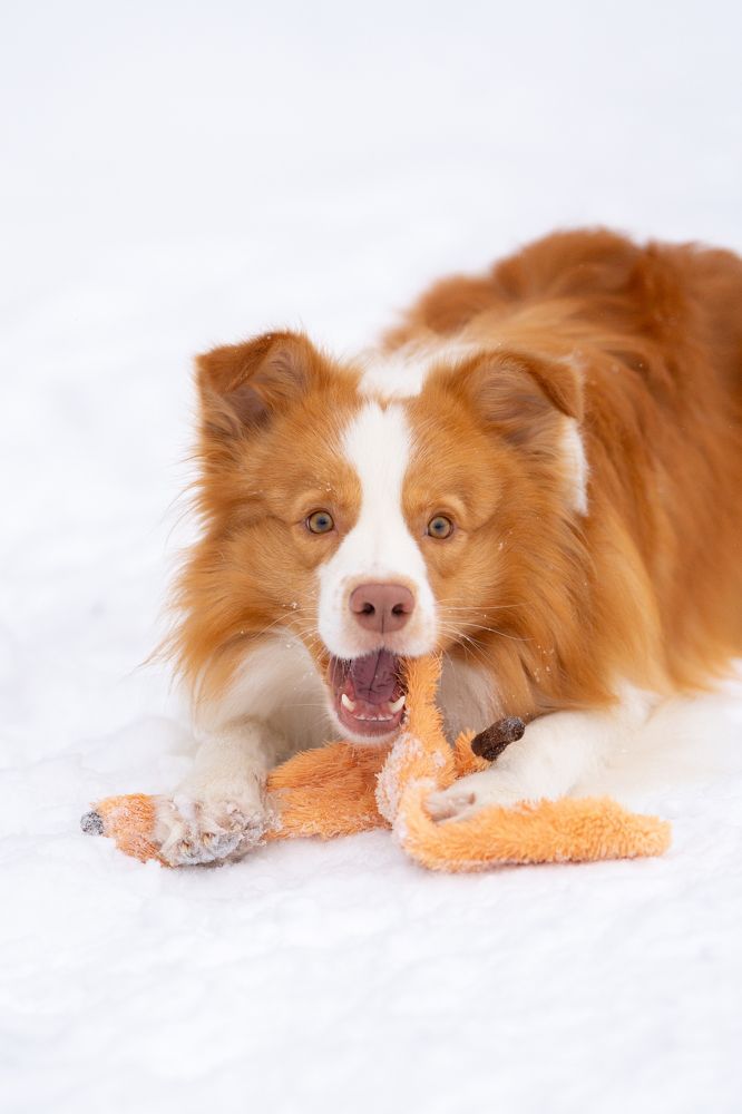 Photograph by Олеся Легостаева