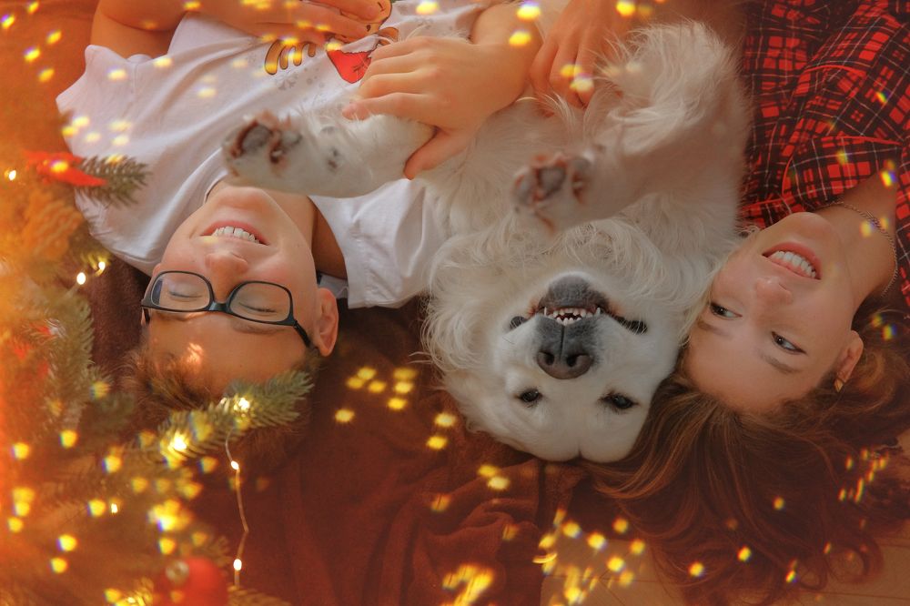 Photograph by Екатерина Морозова