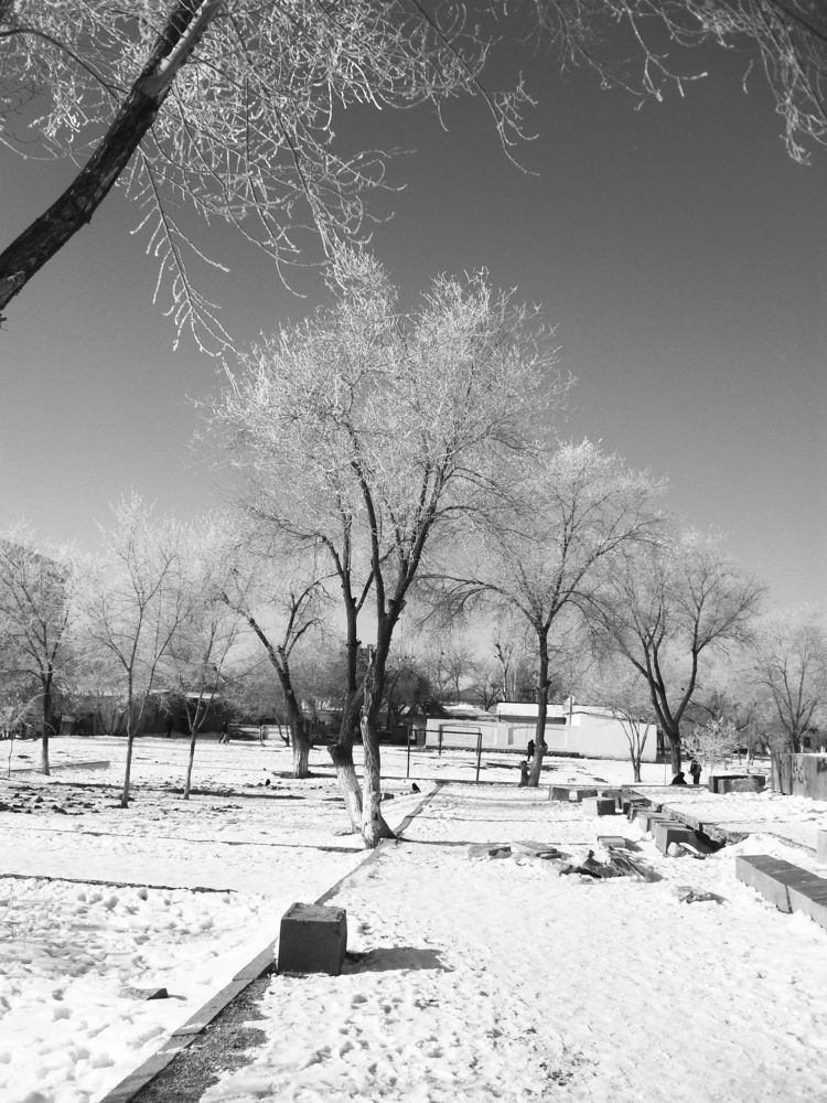 Photograph by Эдик Нуран