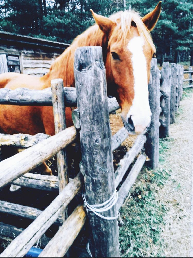 Фотография автора Рузинова Елена