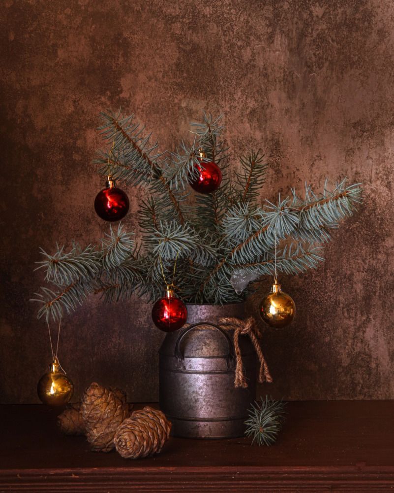 Photograph by Елена Рудкевич