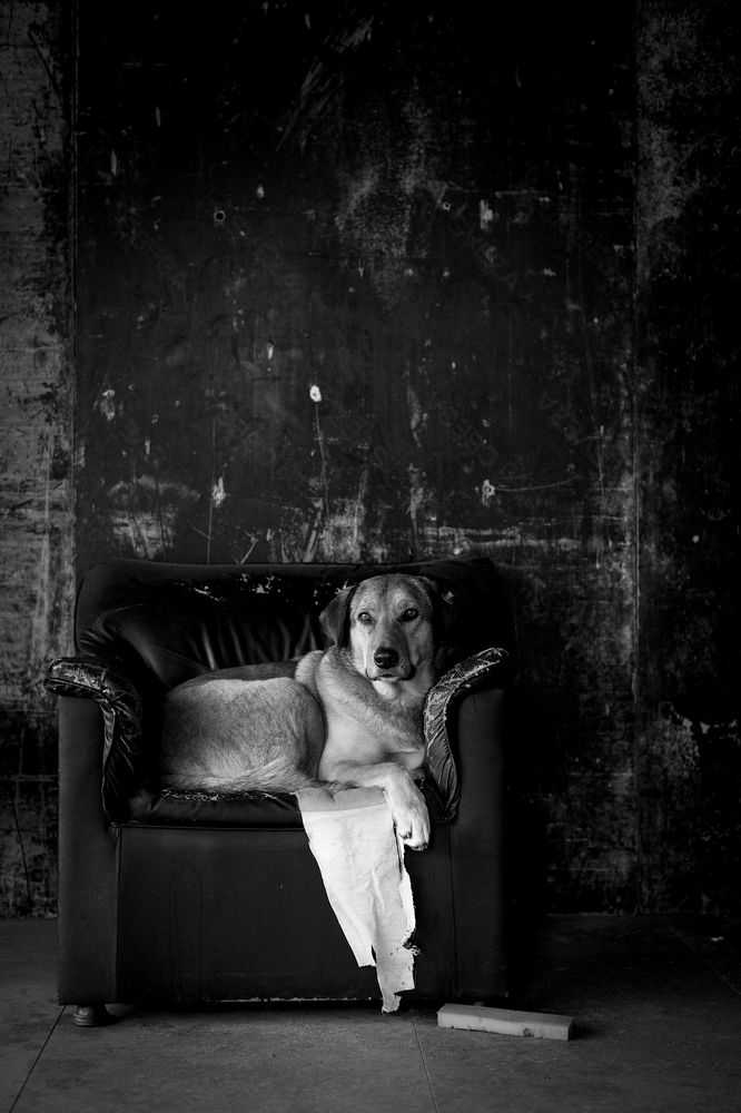 Photograph by Roozbeh BARATI