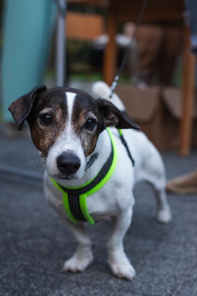 Photograph by Дмитрий Томин