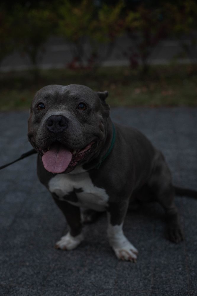 Photograph by Дмитрий Томин