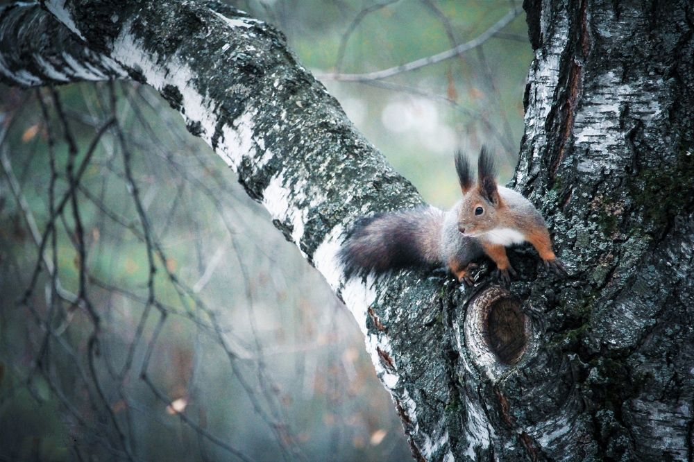 Фотография автора Ser P