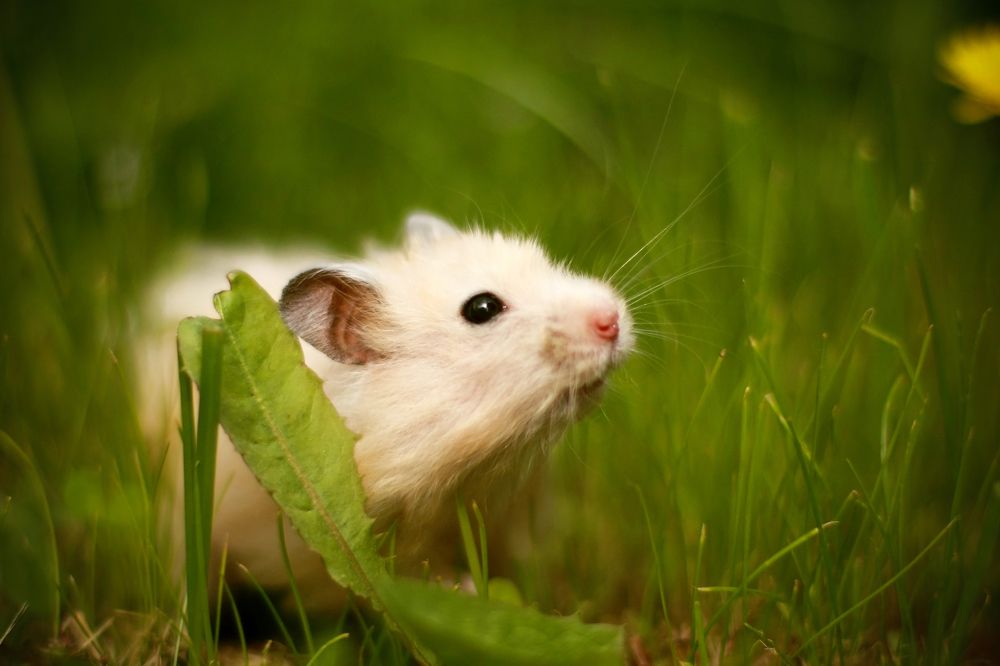 Photograph by Павел