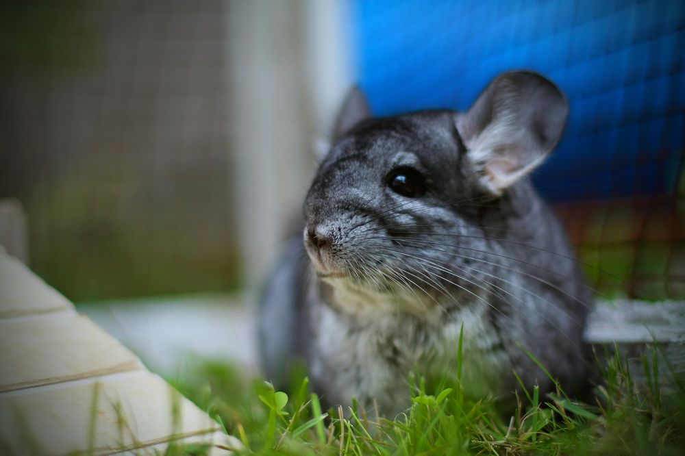 Photograph by Павел