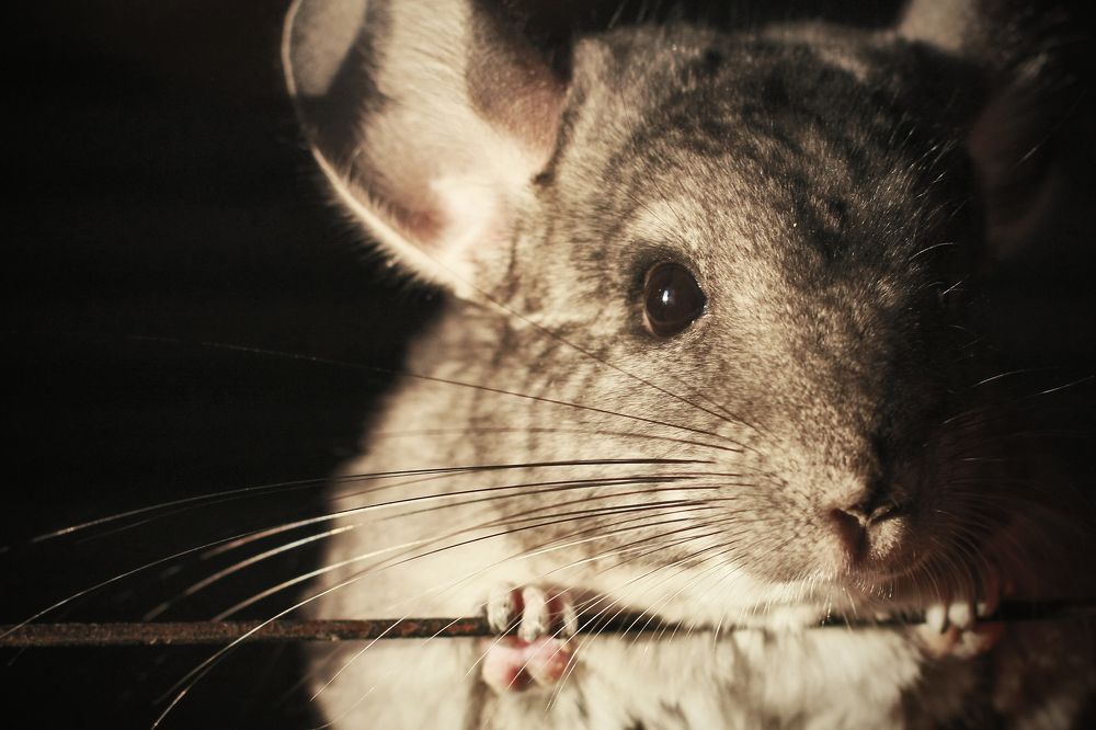 Photograph by Павел