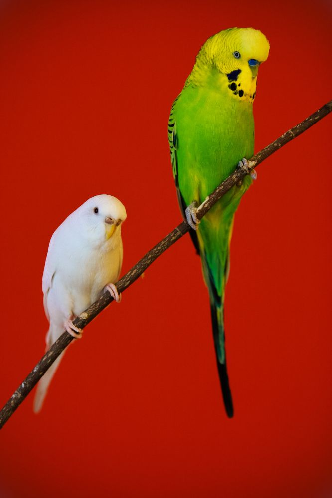 Photograph by Павел