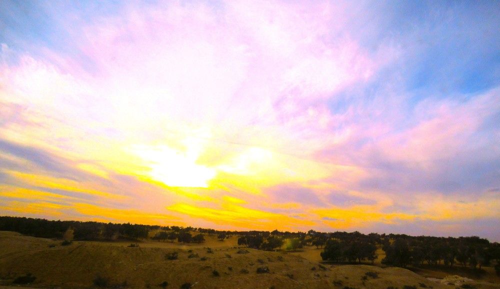 Photograph by Leonid Yarmolinsky