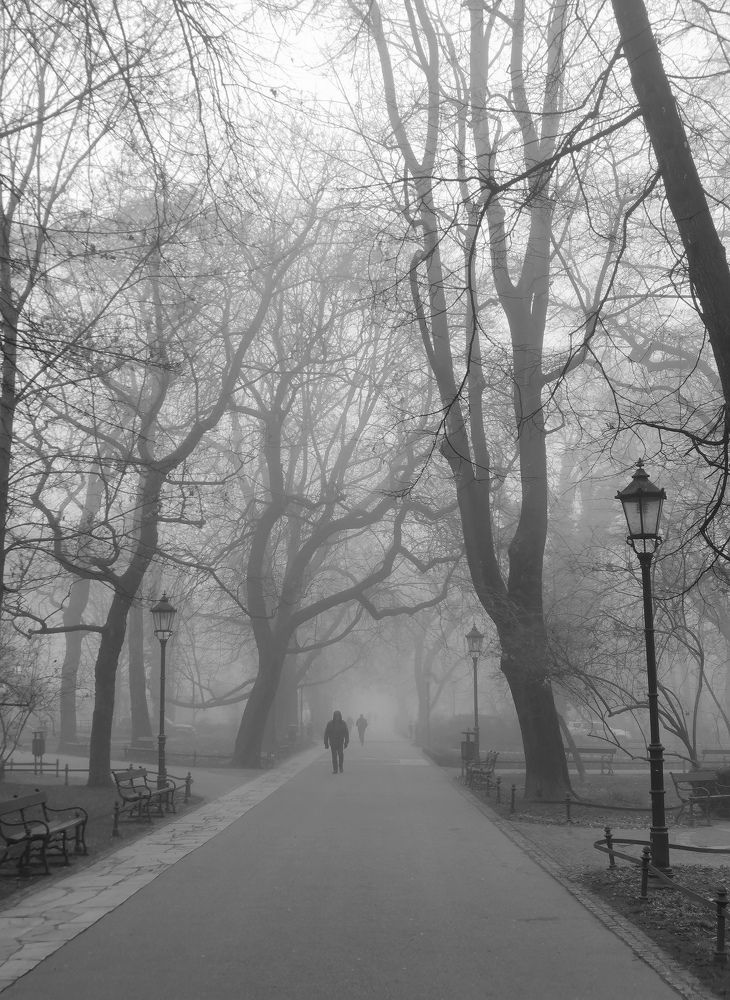 Photograph by Paulina Michałowska