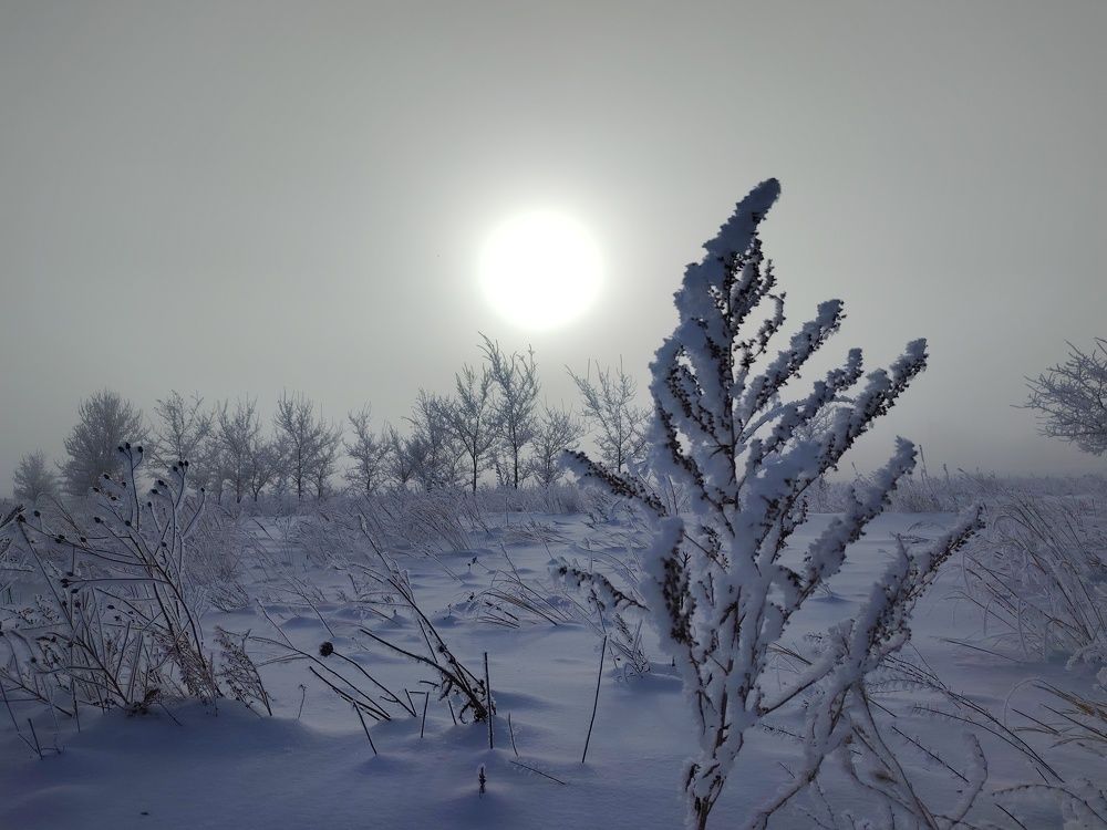 Photo #11567527