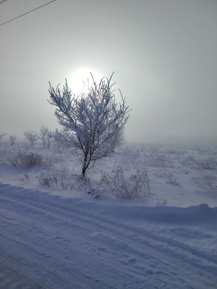 Photo #11567528