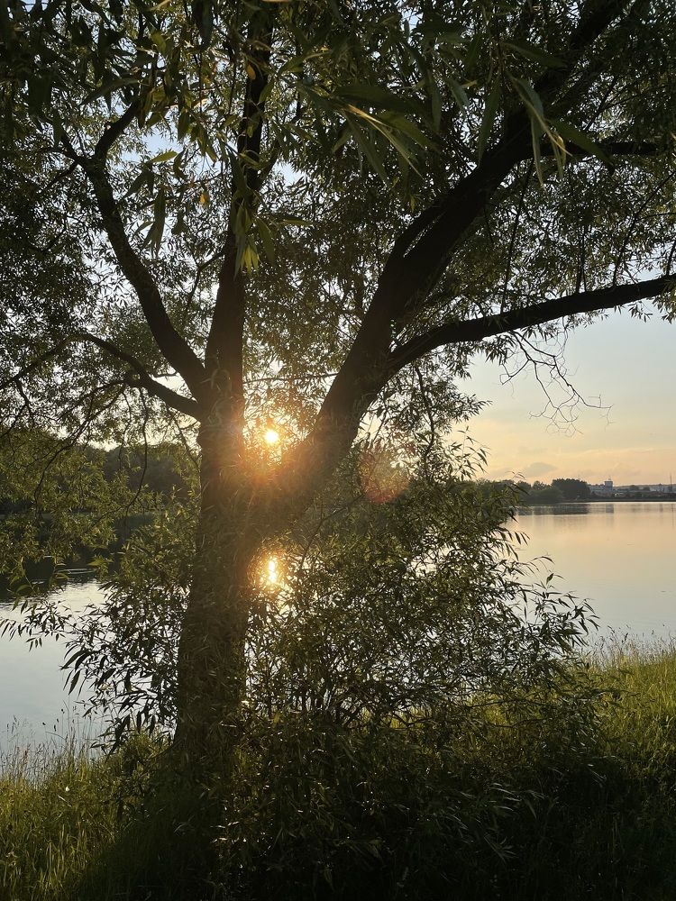 Photograph by Марта