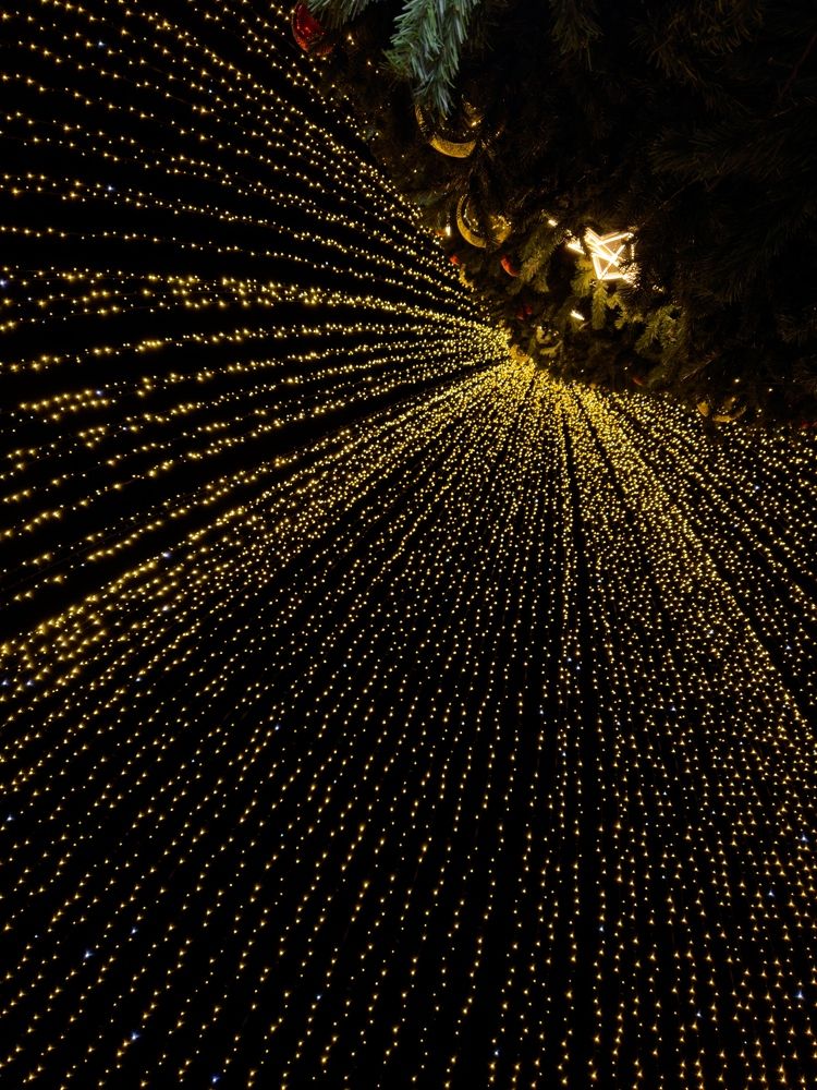 Photograph by Татьяна