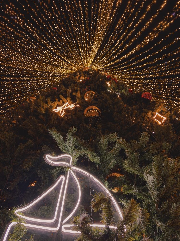 Photograph by Татьяна