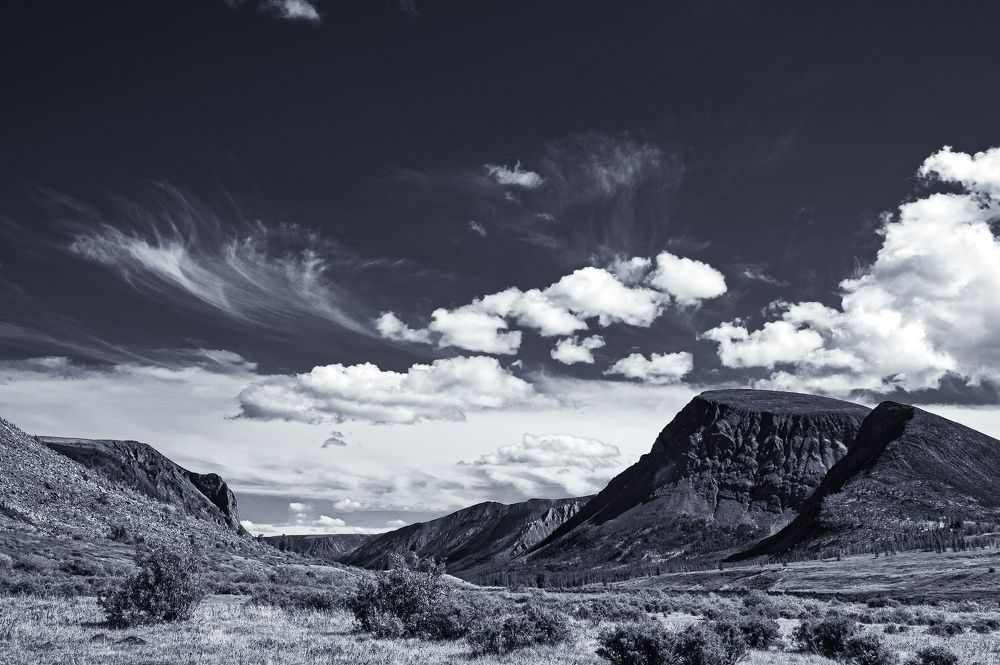Photograph by Анастасия Сахаревич