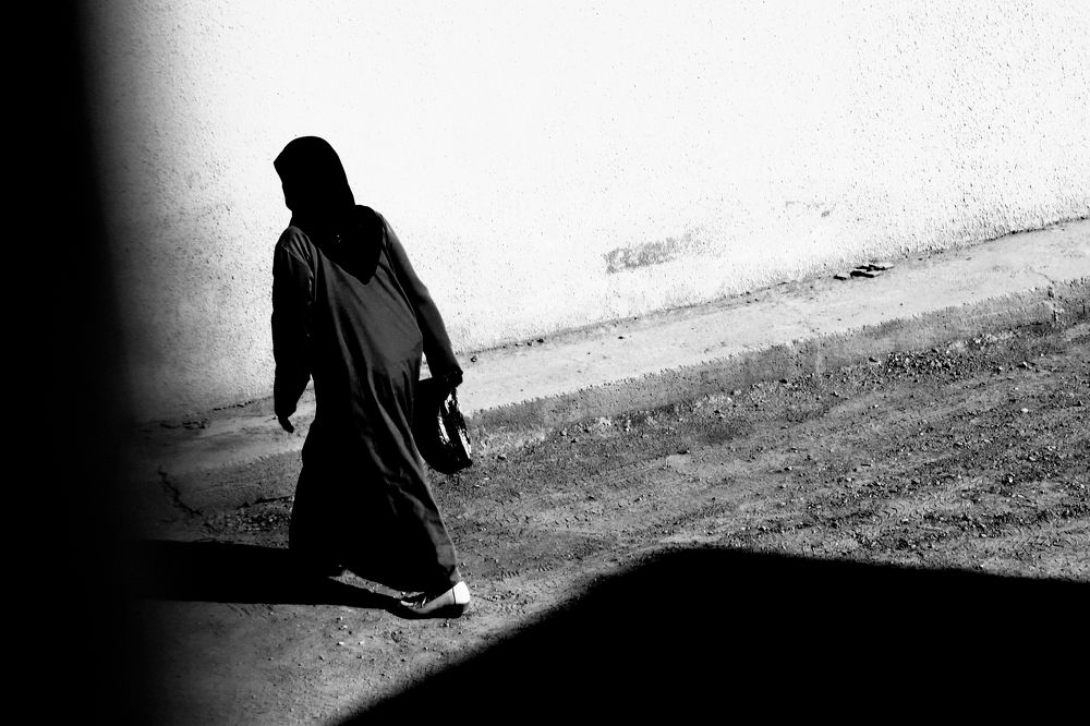 Photo #11567644