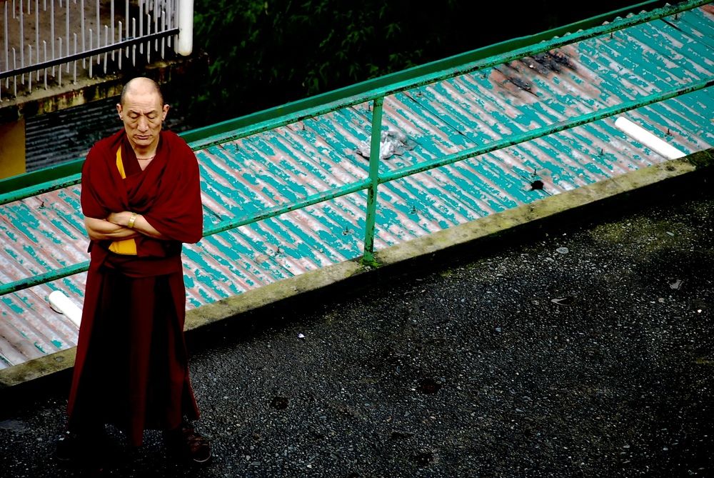 Photograph by Theodor Stanciu