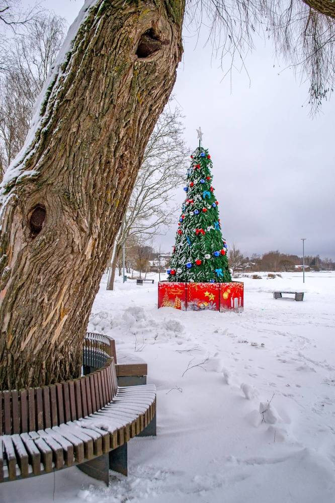 Фотография автора Комаров Иван