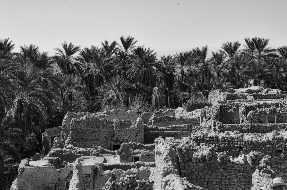 Фотография автора Khaled Zerfaoui